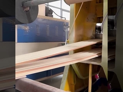 Soundproof αδιάβροχος και υγρασία εργοστασίων επιτροπών τοίχων WPC άμεσοι - απόδειξη