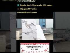 Βαμβούλο Άνθρακα ξύλου Φανίρισμα PET Μαρμάριος υφή Διακοσμητικό Πίνακα τοίχου PVC Πίνακα τοίχου PET