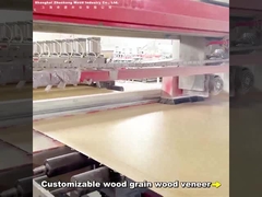 2.44m Μπαμπού Γαιάνθρακα Στονίπορτα Σύγχρονη Φωτεινή Πολυτέλεια Προσαρμοσμένο μήκος PVC Carbon Crystal Wallboard